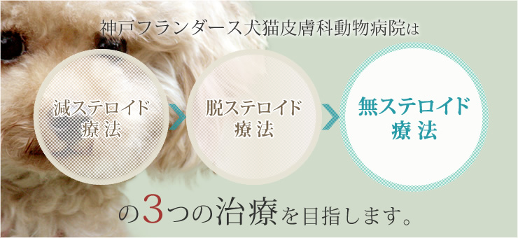 神戸フランダース犬猫皮膚科動物病院は3つのステロイド治療を目指します