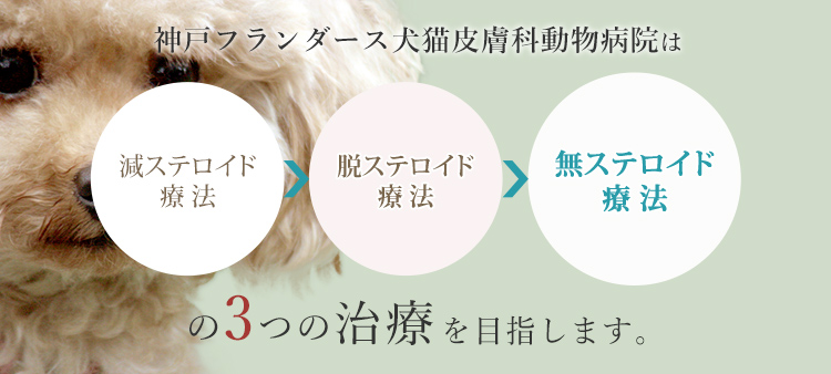 神戸フランダース犬猫皮膚科動物病院は3つのステロイド治療を目指します
