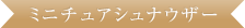 ミニチュアシュナウザー